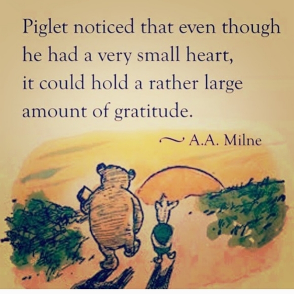 🦌 CAMOUFLAGE  PANTS WHITEWATER OUTDOORS 3XL EUC - Picture 8 of 15